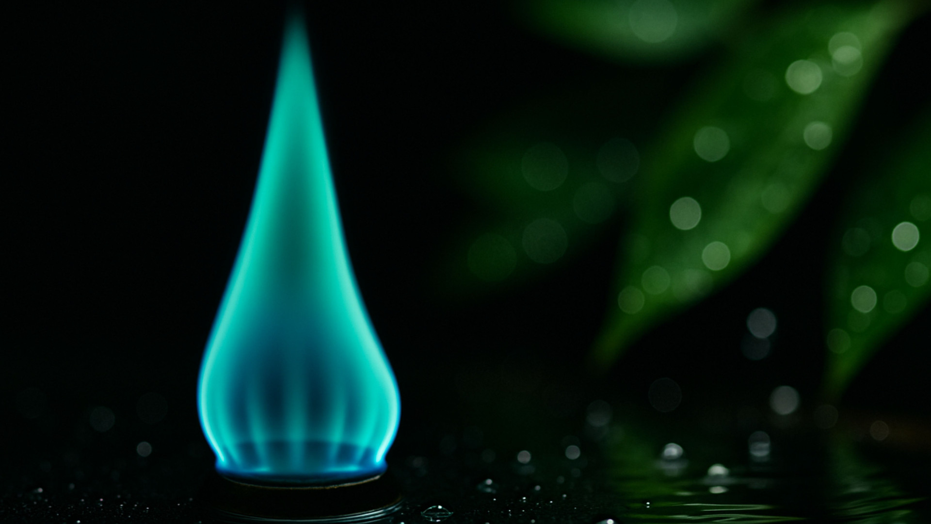 biogas